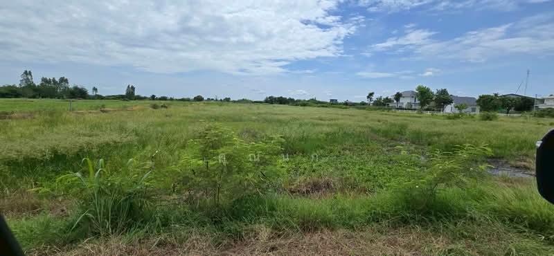 land for sell, Kanchanaburi, Wang Sala, Tha Muang, Kanchanaburi, , 12,436 sqm, Land For Sale, by คุณนก, 500316752 - DDproperty.com