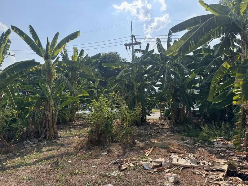 นครสวรรค์ตก, Nakhon Sawan, Pak Nam Pho, Muang Nakhon Sawan, Nakhon Sawan, , 1,528 sqm, Land For Sale, by ERA Thailand, 500316830 - DDproperty.com