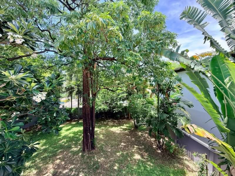 Detached House, กรุงเทพ, Sukhumvit 50, บางจาก, พระโขนง, กรุงเทพ, 220 ตร.ม., บ้านเดี่ยว ให้เช่า, โดย Bangkok Residential, 500316904 - DDproperty.com