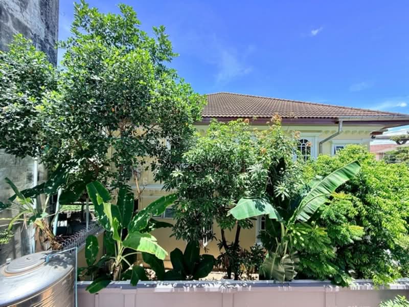 Detached House, กรุงเทพ, Sukhumvit 50, บางจาก, พระโขนง, กรุงเทพ, 220 ตร.ม., บ้านเดี่ยว ให้เช่า, โดย Bangkok Residential, 500316904 - DDproperty.com