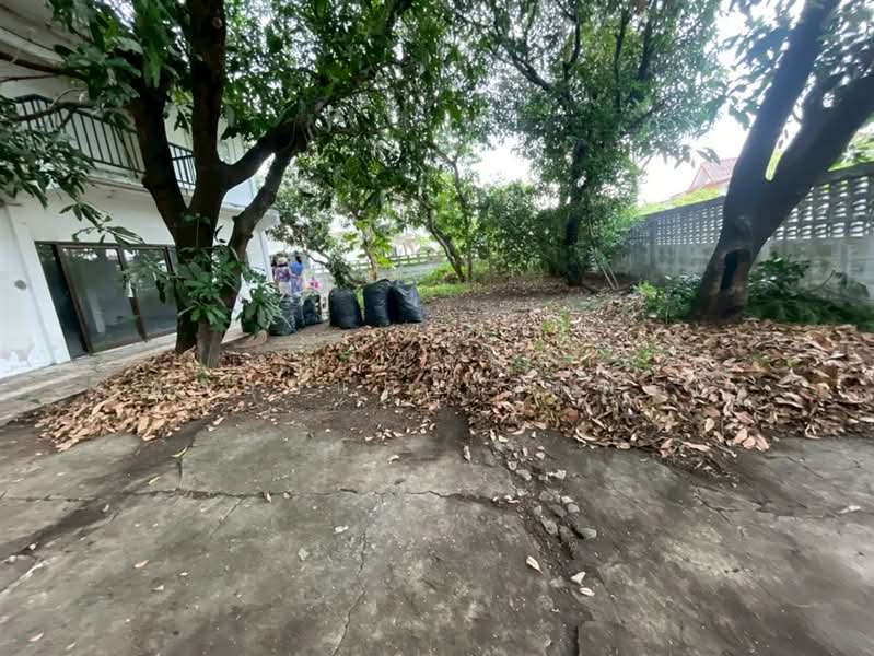 สหกรณ์ เคหะสถาน 4 ซอยเสรีไทย57, Bangkok, ถนนเสรีไทย, Khlong Kum, Bueng Kum, Bangkok, 3 Bedrooms, 200 sqm, Single Detached House For Sale, by คุณ สุภัตรา พลอยแดง (แพร), 500316963 - DDproperty.com