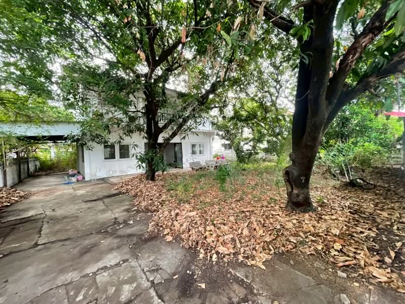 สหกรณ์ เคหะสถาน 4 ซอยเสรีไทย57, Bangkok, ถนนเสรีไทย, Khlong Kum, Bueng Kum, Bangkok, 3 Bedrooms, 200 sqm, Single Detached House For Sale, by คุณ สุภัตรา พลอยแดง (แพร), 500316963 - DDproperty.com