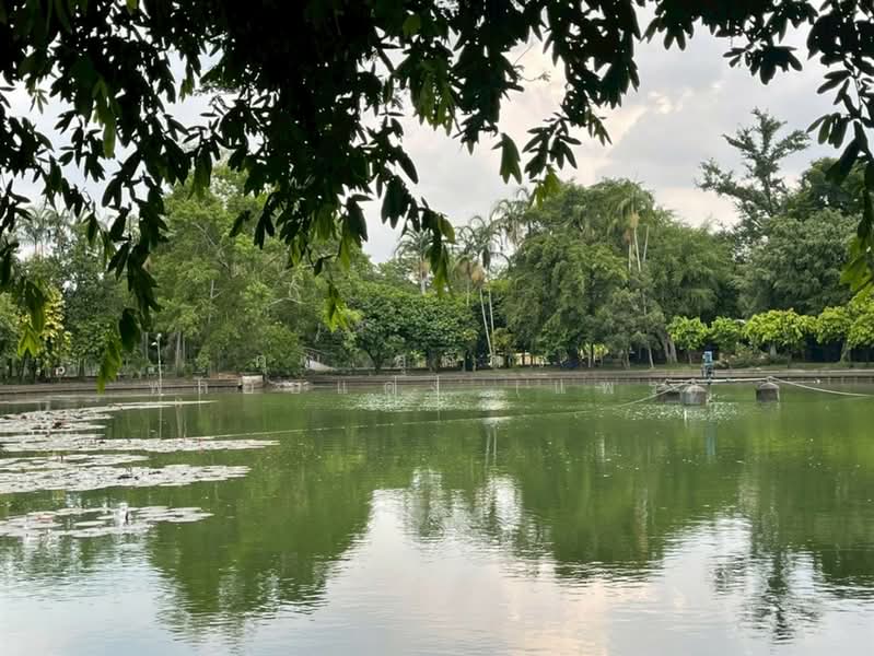 สหกรณ์ เคหะสถาน 4 ซอยเสรีไทย57, Bangkok, ถนนเสรีไทย, Khlong Kum, Bueng Kum, Bangkok, 3 Bedrooms, 200 sqm, Single Detached House For Sale, by คุณ สุภัตรา พลอยแดง (แพร), 500316963 - DDproperty.com