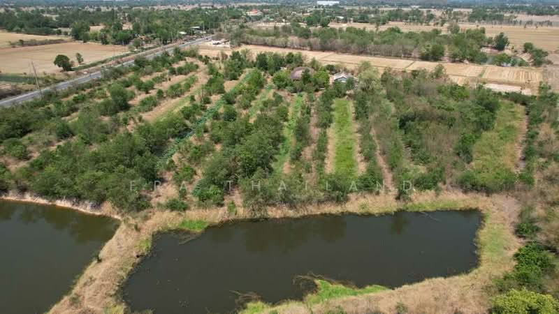 ขายที่ดินเปล่า 66-0-53 ไร่ ลาดยาว นครสวรรค์, Nakhon Sawan, Nong Nom Wua, Lat Yao, Nakhon Sawan, , 105,812 sqm, Land For Sale, by ERA Thailand, 500317165 - DDproperty.com