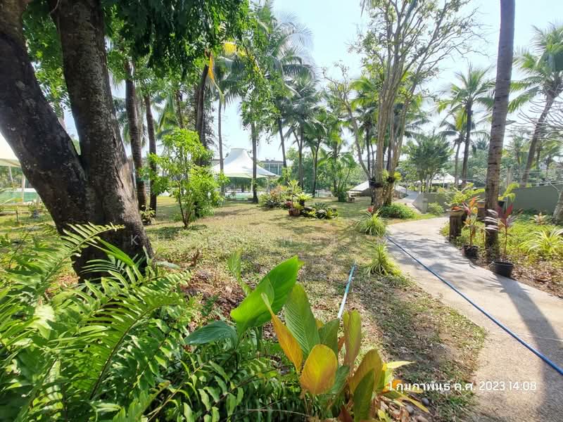 PHUPHAtara RAYONG, Rayong, Pae-Klaeng-Kram Road, Chakphong, Klaeng, Rayong, 1 Bedroom, 68 sqm, Condo For Sale, by Khun Thitima, 500317243 - DDproperty.com
