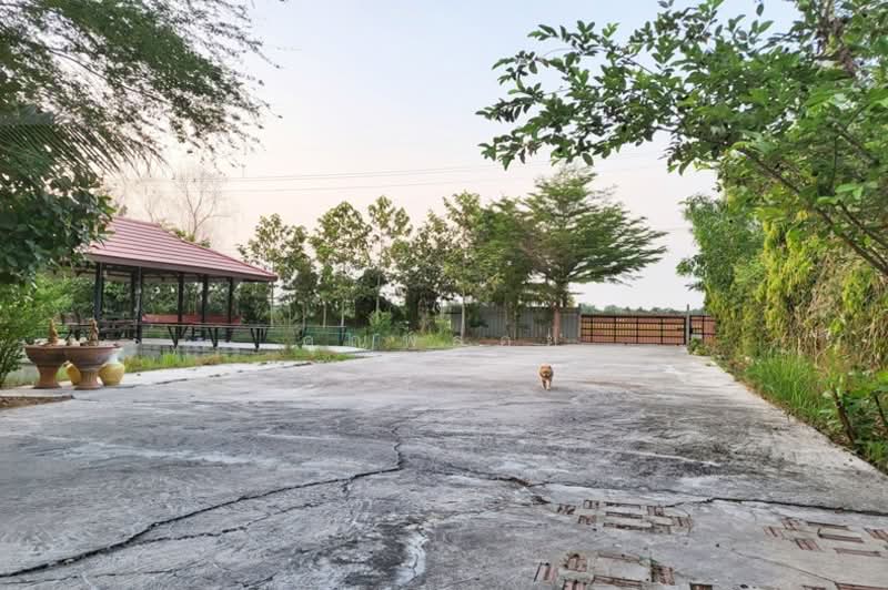 ซอยคลองหกตะวันตก, ปทุมธานี, คลองหก, คลองหลวง, ปทุมธานี, 659 ตร.ม., บ้านเดี่ยว ขาย, โดย คุณพลอย, 500317279 - DDproperty.com