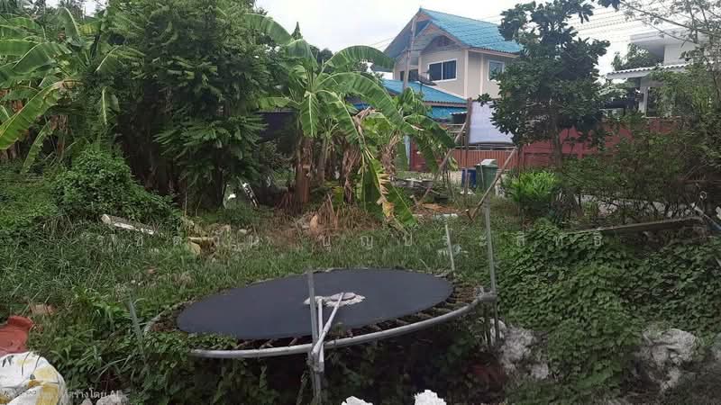 ขายที่ดินเปล่า 53 ตร.ว. โครงการบ้านปีกไม้ ตำบลบ้านใหม่ อำเภอบางใหญ่ จังหวัดนนทบุรี, นนทบุรี, บ้านใหม่, บางใหญ่, นนทบุรี, 212 ตร.ม., ที่ดิน ขาย, โดย รชตวัน บุญประสิทธิ์, 500317315 - DDproperty.com