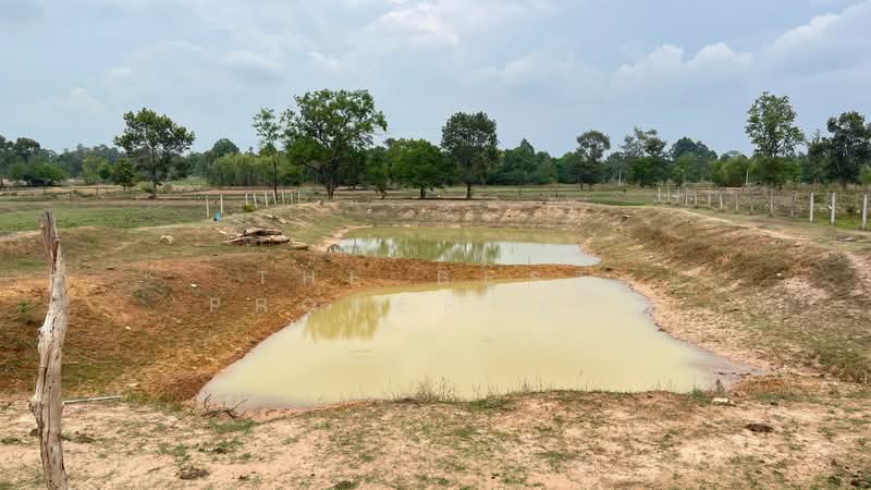ที่ดินบุ่ง อำนาจเจริญ, อำนาจเจริญ, บุ่ง, เมืองอำนาจเจริญ, อำนาจเจริญ, 4,800 ตร.ม., ที่ดิน ขาย, โดย The Best Property บี, 500317612 - DDproperty.com
