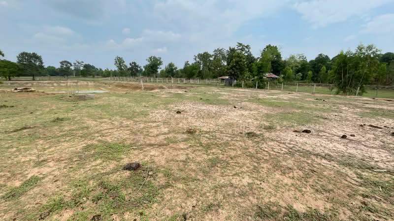 ที่ดินบุ่ง อำนาจเจริญ, อำนาจเจริญ, บุ่ง, เมืองอำนาจเจริญ, อำนาจเจริญ, 4,800 ตร.ม., ที่ดิน ขาย, โดย The Best Property บี, 500317612 - DDproperty.com