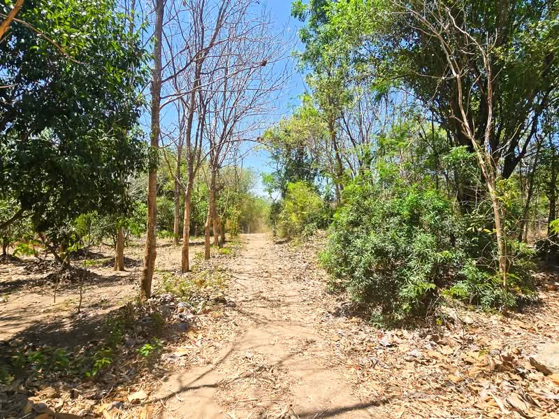 ดินปราณบุรี ตำบล ปากน้ำปราณ อำเภอปราณบุรี ประจวบคีรีขันธ์, Prachuap Khiri Khan, Pak Nam Pran, Pran Buri, Prachuap Khiri Khan, , 5,704 sqm, Land For Sale, by HOMEPLUS REALTY - คุณหนึ่ง, 500317658 - DDproperty.com
