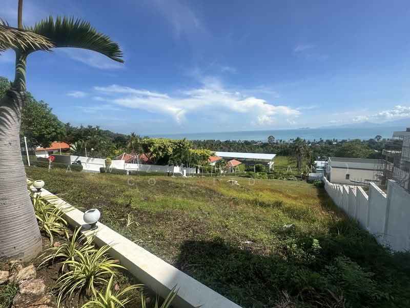 ที่ดินวิวทะเลบางปอ 1,440 ตร.ม. ใกล้หาด เหมาะสร้างวิลล่าสมุย, สุราษฎร์ธานี, แม่น้ำ, เกาะสมุย, สุราษฎร์ธานี, 1,440 ตร.ม., ที่ดิน ขาย, โดย Fazwaz (Thailand) Co., Ltd., 500317904 - DDproperty.com