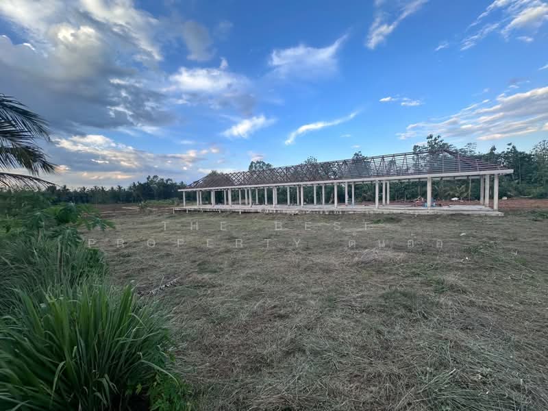 ที่ดินคอนสวรรค์ ชัยภูมิ, Chaiyaphum, Khon San, Chaiyaphum, , 4,140 sqm, Land For Sale, by The Best Property ต้นอ้อ, 500317943 - DDproperty.com