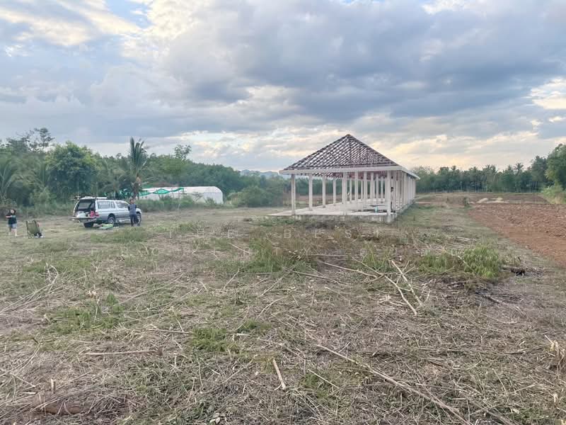 ที่ดินคอนสวรรค์ ชัยภูมิ, ชัยภูมิ, คอนสาร, ชัยภูมิ, 4,140 ตร.ม., ที่ดิน ขาย, โดย The Best Property ต้นอ้อ, 500317943 - DDproperty.com