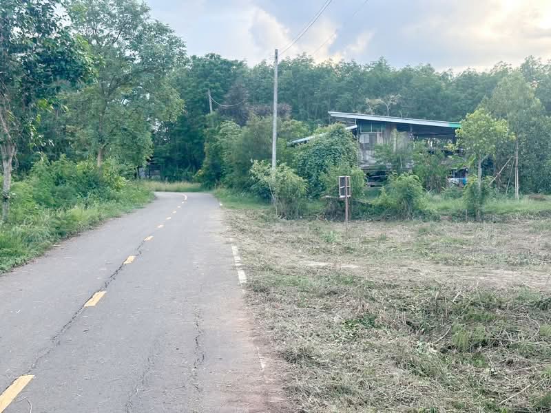 ที่ดินคอนสวรรค์ ชัยภูมิ, Chaiyaphum, Khon San, Chaiyaphum, , 4,140 sqm, Land For Sale, by The Best Property ต้นอ้อ, 500317943 - DDproperty.com