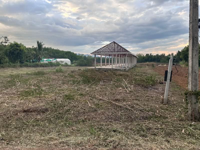 ที่ดินคอนสวรรค์ ชัยภูมิ, Chaiyaphum, Khon San, Chaiyaphum, , 4,140 sqm, Land For Sale, by The Best Property ต้นอ้อ, 500317943 - DDproperty.com