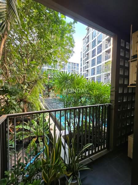 Chambers On-Nut Station, Bangkok, Soi Sukhumvit 81, Sukhumvit Road, Phra Kanong Nua, Watthana, Bangkok, 1 Bedroom, 37 sqm, Condo For Sale, by Neeranuch Somprasong, 500318231 - DDproperty.com