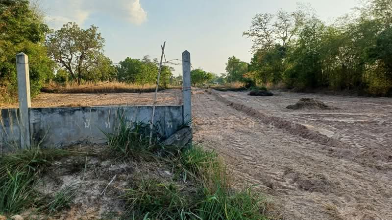 บ้านพอก ตำบลเป้า อำเภอตระการพืชผล, อุบลราชธานี, ตระการ, ตระการพืชผล, อุบลราชธานี, 240 ตร.ม., ที่ดิน ขาย, โดย นัทยาพร พึ่มกุล (เบนซ์), 500318266 - DDproperty.com