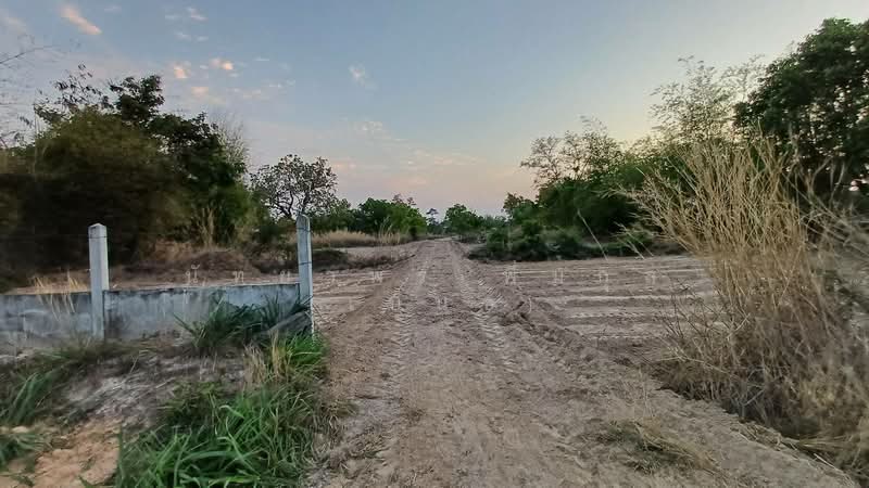 บ้านพอก ตำบลเป้า อำเภอตระการพืชผล, อุบลราชธานี, ตระการ, ตระการพืชผล, อุบลราชธานี, 240 ตร.ม., ที่ดิน ขาย, โดย นัทยาพร พึ่มกุล (เบนซ์), 500318266 - DDproperty.com