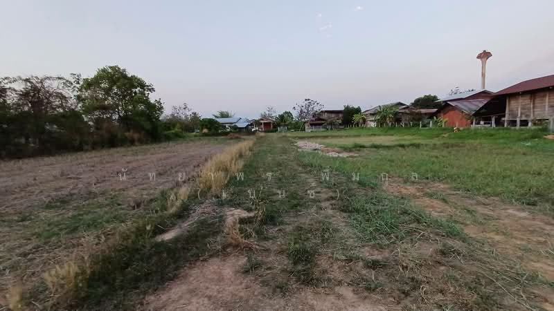 บ้านพอก ตำบลเป้า อำเภอตระการพืชผล, อุบลราชธานี, ตระการ, ตระการพืชผล, อุบลราชธานี, 240 ตร.ม., ที่ดิน ขาย, โดย นัทยาพร พึ่มกุล (เบนซ์), 500318266 - DDproperty.com