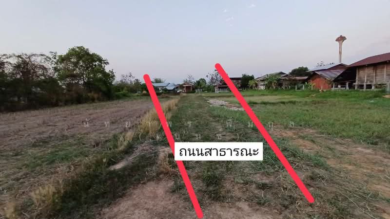 บ้านพอก ตำบลเป้า อำเภอตระการพืชผล, อุบลราชธานี, ตระการ, ตระการพืชผล, อุบลราชธานี, 240 ตร.ม., ที่ดิน ขาย, โดย นัทยาพร พึ่มกุล (เบนซ์), 500318266 - DDproperty.com