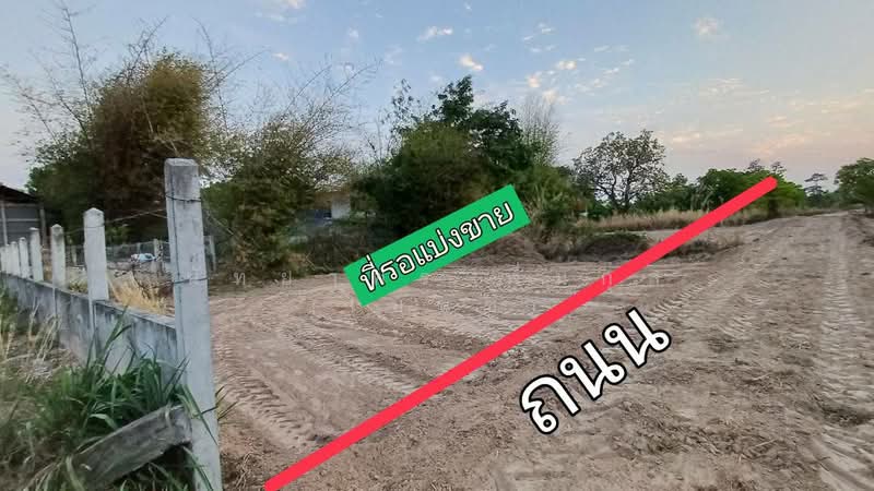 บ้านพอก ตำบลเป้า อำเภอตระการพืชผล, อุบลราชธานี, ตระการ, ตระการพืชผล, อุบลราชธานี, 240 ตร.ม., ที่ดิน ขาย, โดย นัทยาพร พึ่มกุล (เบนซ์), 500318266 - DDproperty.com