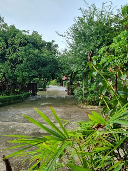 ป่าซาง, Lamphun, Ma-kok, Pa Sang, Lamphun, 4 Bedrooms, 1,000 sqm, Single Detached House For Sale, by Nattakorn Kampangthip, 500318390 - DDproperty.com