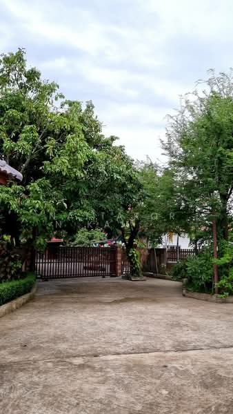 ป่าซาง, Lamphun, Ma-kok, Pa Sang, Lamphun, 4 Bedrooms, 1,000 sqm, Single Detached House For Sale, by Nattakorn Kampangthip, 500318390 - DDproperty.com