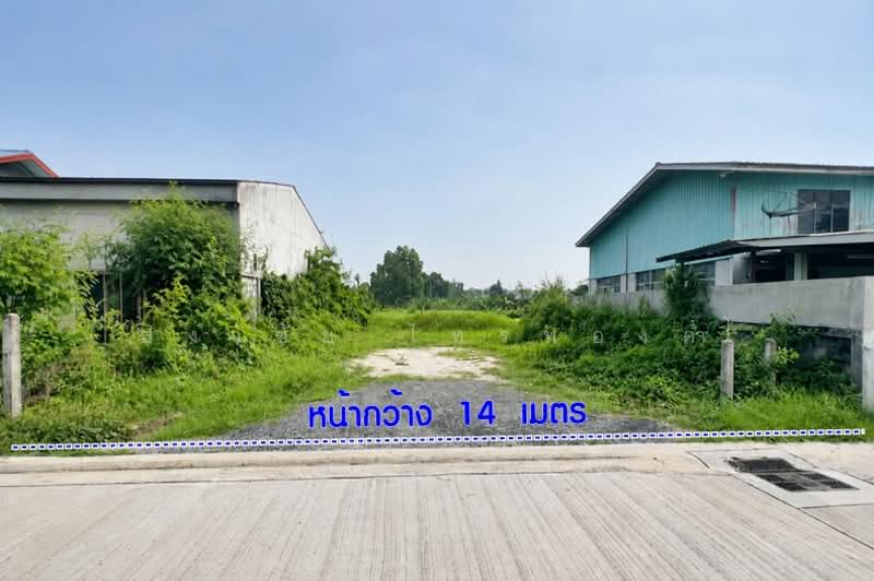 ซอย รสม. ม.3 ถนนรังสิต-ปทุมธานี ตำบลบางพูน อำเภอเมืองปทุมธานี จังหวัดปทุมธานี 12000, Pathum Thani, รังสิต-ปทุมธานี, Bang Phun, Muang Pathum Thani, Pathum Thani, , 3,156 sqm, Land For Sale, by สง่าชัย ไทรทองคำ, 500318452 - DDproperty.com