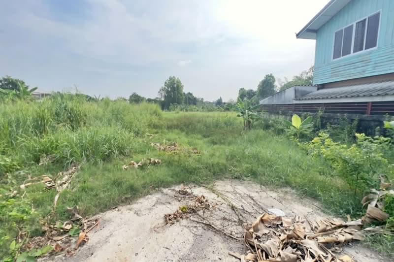 ซอย รสม. ม.3 ถนนรังสิต-ปทุมธานี ตำบลบางพูน อำเภอเมืองปทุมธานี จังหวัดปทุมธานี 12000, ปทุมธานี, รังสิต-ปทุมธานี, บางพูน, เมืองปทุมธานี, ปทุมธานี, 3,156 ตร.ม., ที่ดิน ขาย, โดย สง่าชัย ไทรทองคำ, 500318452 - DDproperty.com