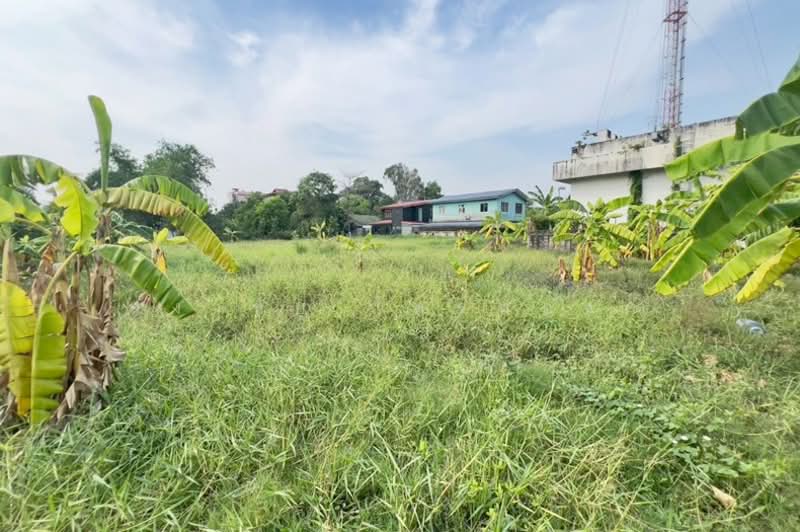 ซอย รสม. ม.3 ถนนรังสิต-ปทุมธานี ตำบลบางพูน อำเภอเมืองปทุมธานี จังหวัดปทุมธานี 12000, Pathum Thani, รังสิต-ปทุมธานี, Bang Phun, Muang Pathum Thani, Pathum Thani, , 3,156 sqm, Land For Sale, by สง่าชัย ไทรทองคำ, 500318452 - DDproperty.com
