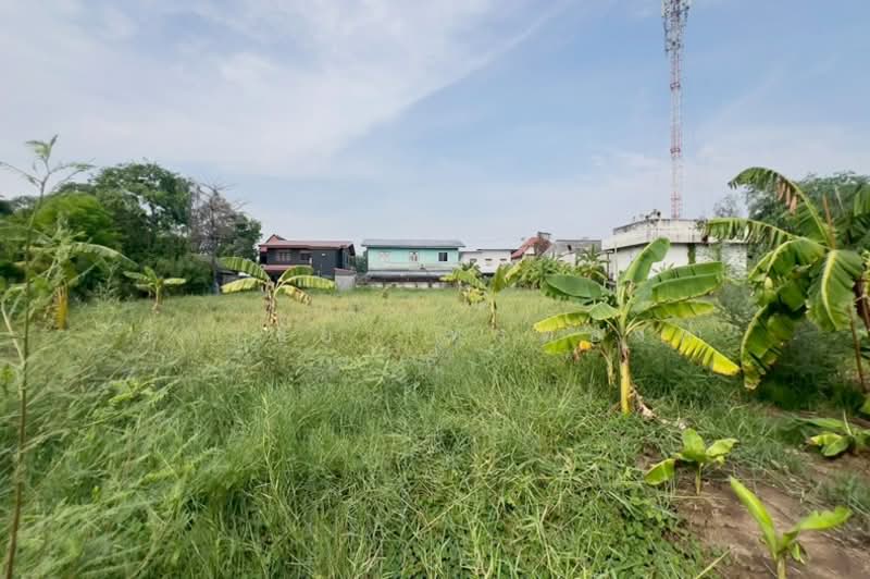 ซอย รสม. ม.3 ถนนรังสิต-ปทุมธานี ตำบลบางพูน อำเภอเมืองปทุมธานี จังหวัดปทุมธานี 12000, ปทุมธานี, รังสิต-ปทุมธานี, บางพูน, เมืองปทุมธานี, ปทุมธานี, 3,156 ตร.ม., ที่ดิน ขาย, โดย สง่าชัย ไทรทองคำ, 500318452 - DDproperty.com