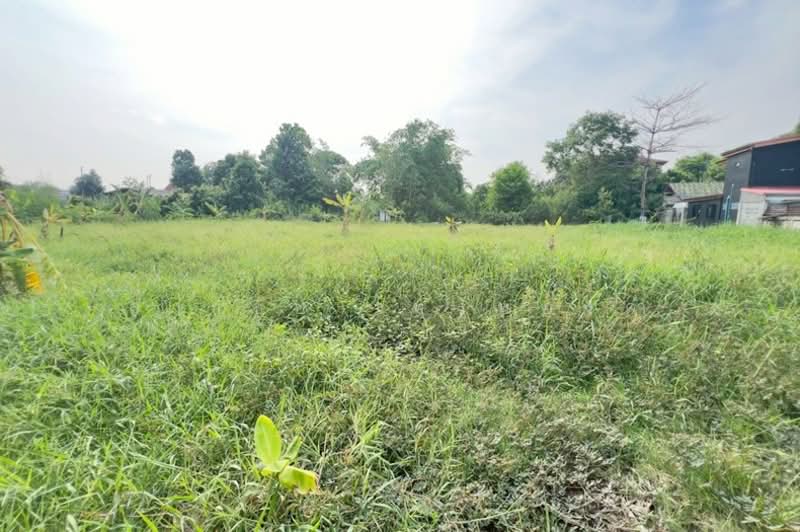 ซอย รสม. ม.3 ถนนรังสิต-ปทุมธานี ตำบลบางพูน อำเภอเมืองปทุมธานี จังหวัดปทุมธานี 12000, Pathum Thani, รังสิต-ปทุมธานี, Bang Phun, Muang Pathum Thani, Pathum Thani, , 3,156 sqm, Land For Sale, by สง่าชัย ไทรทองคำ, 500318452 - DDproperty.com