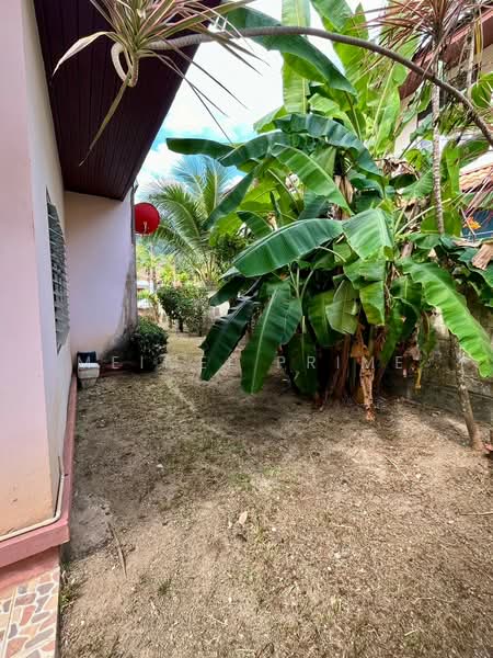 Phanasorn Parkville 1 Village, Phuket, Kathu, Phuket, 3 Bedrooms, 146 sqm, Single Detached House For Rent, by MeiMei Prime, 500318488 - DDproperty.com