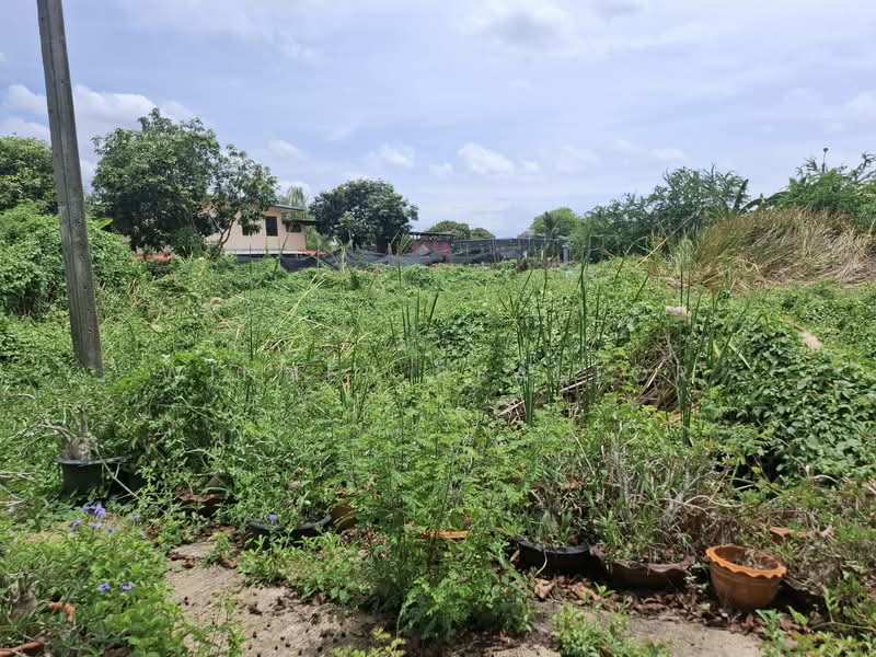 Sukthawee Village, Bangkok, Sala Thammasop, Thawi Watthana, Bangkok, , 400 sqm, Land For Sale, by Winner Realtor, 500318534 - DDproperty.com