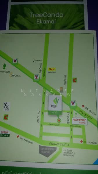 Tree Condo Ekamai, Bangkok, Soi Samanand, Rama 4 Road, Phra Kanong, Khlong Toei, Bangkok, 1 Bedroom, 40 sqm, Condo For Rent, by Nutnaree Nakkaew, 500318664 - DDproperty.com