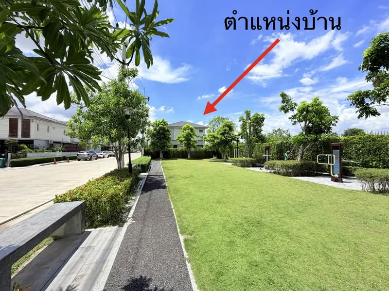 เดอะแพลนท์ ซิตี้ วงแหวน-ลำลูกกาคลอง5 หลังริม ติดสวน,ติดสระ,ถนนเมน 60.4 ตร.ว., ปทุมธานี, เทศบาลลำลูกกา1, บึงคำพร้อย, ลำลูกกา, ปทุมธานี, 242 ตร.ม., บ้านเดี่ยว ขาย, โดย วสันต์ วะสะติ, 500318692 - DDproperty.com