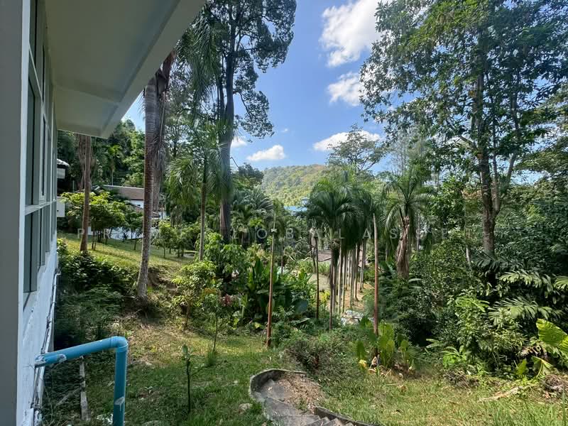 Prime Hill, ภูเก็ต, กะทู้, ภูเก็ต, 34 ตร.ม., บ้านเดี่ยว ให้เช่า, โดย primeglobalasset Ao, 500318719 - DDproperty.com