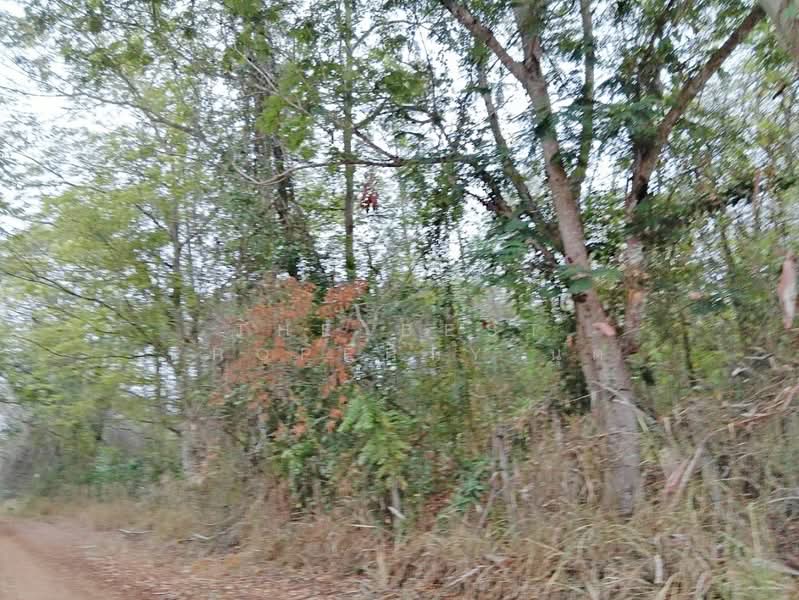 ที่ดินหัวหิน ประจวบคีรีขันธ์, Prachuap Khiri Khan, Nong Phap, Hua Hin, Prachuap Khiri Khan, , 40,616 sqm, Land For Sale, by The Best Property นุต, 500318758 - DDproperty.com