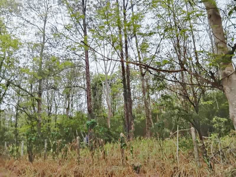 ที่ดินหัวหิน ประจวบคีรีขันธ์, Prachuap Khiri Khan, Nong Phap, Hua Hin, Prachuap Khiri Khan, , 40,616 sqm, Land For Sale, by The Best Property นุต, 500318758 - DDproperty.com