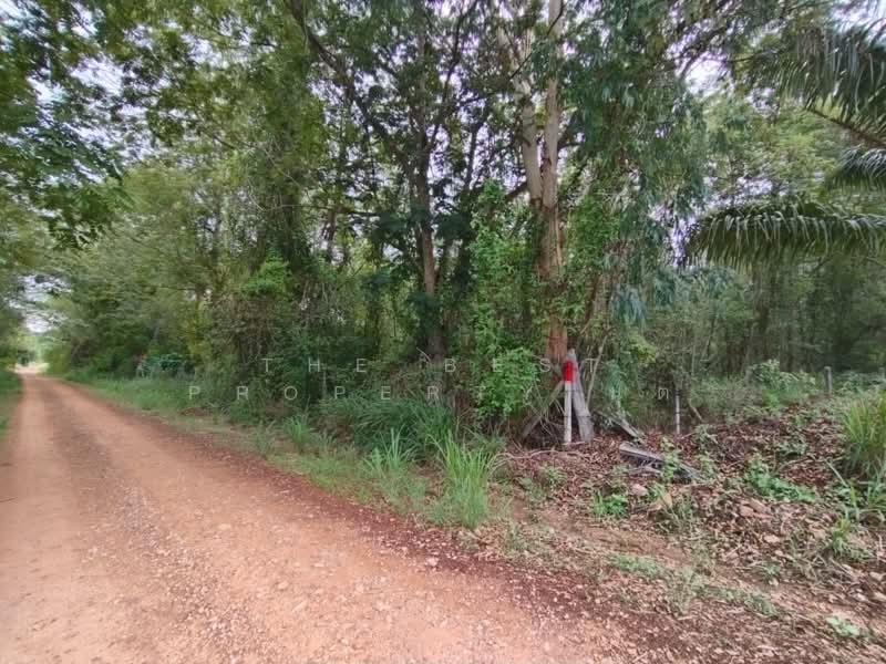 ที่ดินหัวหิน ประจวบคีรีขันธ์, ประจวบคีรีขันธ์, หนองพลับ, หัวหิน, ประจวบคีรีขันธ์, 40,616 ตร.ม., ที่ดิน ขาย, โดย The Best Property นุต, 500318758 - DDproperty.com