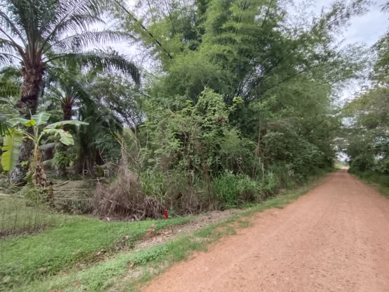 ที่ดินหัวหิน ประจวบคีรีขันธ์, Prachuap Khiri Khan, Nong Phap, Hua Hin, Prachuap Khiri Khan, , 40,616 sqm, Land For Sale, by The Best Property นุต, 500318758 - DDproperty.com
