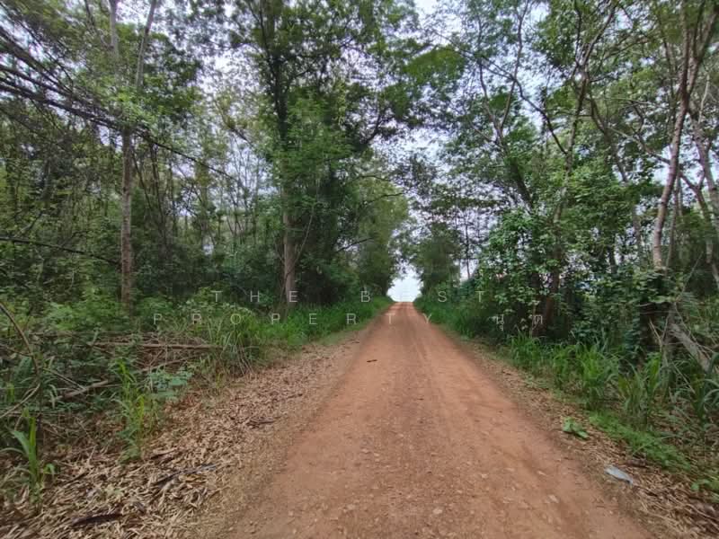 ที่ดินหัวหิน ประจวบคีรีขันธ์, Prachuap Khiri Khan, Nong Phap, Hua Hin, Prachuap Khiri Khan, , 40,616 sqm, Land For Sale, by The Best Property นุต, 500318758 - DDproperty.com