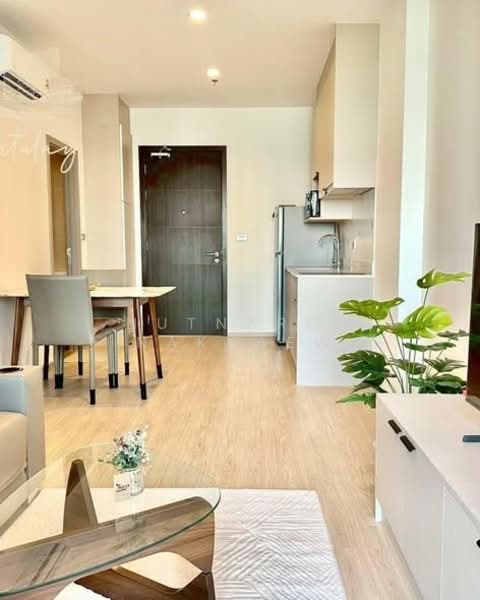 Symphony Condo, Bangkok, Sukhumvit Road, Bang Chak, Phra Khanong, Bangkok, 1 Bedroom, 50 sqm, Condo For Rent, by Nutnaree Nakkaew, 500318828 - DDproperty.com