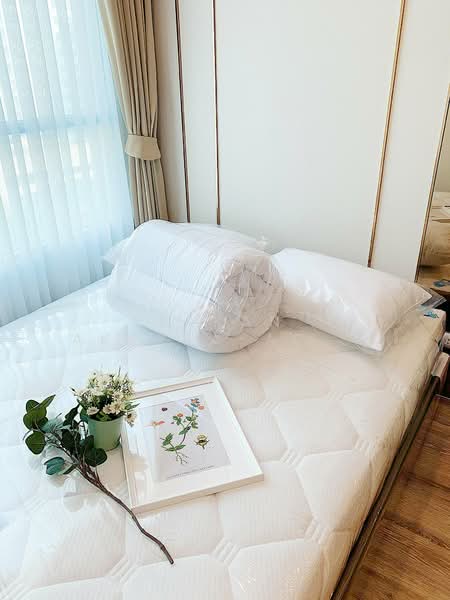 KnightsBridge Collage Ramkhamhaeng, Bangkok, Ramkhamhaeng Road, Hua Mak, Bang Kapi, Bangkok, 1 Bedroom, 27 sqm, Condo For Rent, by Sakan Akkara-aektalin, 500319052 - DDproperty.com
