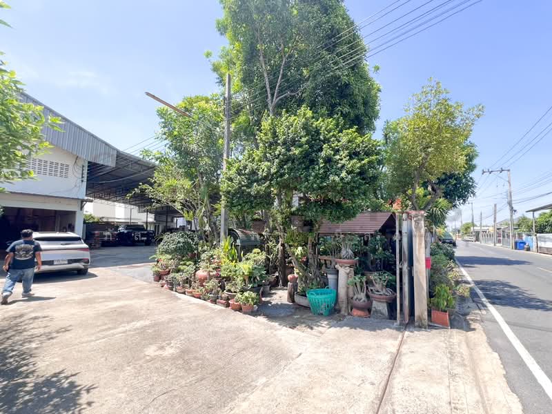 โกดังสินค้า โรงงานแปรรูปไม้ ซอยลำโพ 49 บางบัวทอง นนทบุรี, นนทบุรี, ลำโพ, บางบัวทอง, นนทบุรี, 725 ตร.ม., โกดัง-โรงงาน ขาย, โดย ภัสสร์ปภา นิลคช, 500319190 - DDproperty.com