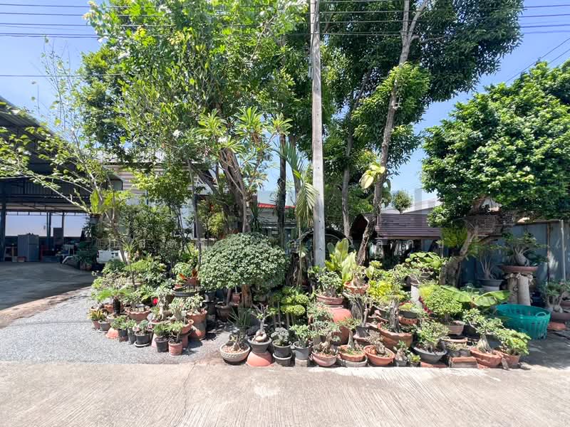 โกดังสินค้า โรงงานแปรรูปไม้ ซอยลำโพ 49 บางบัวทอง นนทบุรี, Nonthaburi, Lam Pho, Bang Bua Thong, Nonthaburi, , 725 sqm, Warehouse/Factory For Sale, by ภัสสร์ปภา นิลคช, 500319190 - DDproperty.com