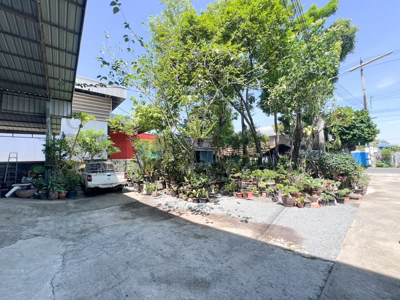 โกดังสินค้า โรงงานแปรรูปไม้ ซอยลำโพ 49 บางบัวทอง นนทบุรี, นนทบุรี, ลำโพ, บางบัวทอง, นนทบุรี, 725 ตร.ม., โกดัง-โรงงาน ขาย, โดย ภัสสร์ปภา นิลคช, 500319190 - DDproperty.com