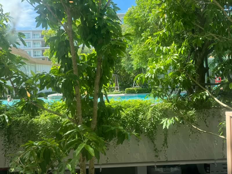 Phyll Phuket : ฟีล ภูเก็ต, ภูเก็ต, 9 หมู่ที่ 4 Muang Naka Rd, วิชิต, เมืองภูเก็ต, ภูเก็ต, 60 ตร.ม., คอนโด ขาย, โดย Sirirat Boonpitak , 500319301 - DDproperty.com