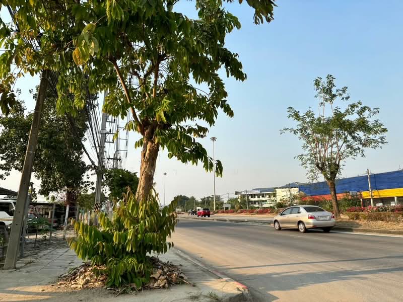 เช่า ที่ดินถมแล้ว ติดทางคู่ขนาน ถนนสายอ.แม่ริม เชียงใหม่-ลำปาง 10 ไร่, เชียงใหม่, อินทร์บุรี-เชียงใหม่ (ถนนทางหลวงแผ่นดิน หมายเลข 11), ท่าศาลา, เมืองเชียงใหม่, เชียงใหม่, 16,958 ตร.ม., โกดัง-โรงงาน ให้เช่า, โดย วริษา รุ่มนุ่ม, 500319422 - DDproperty.com