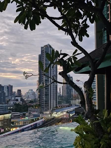 Sky Walk Residences, Bangkok, 1599 Sukhumvit Road, Phra Kanong Nua, Watthana, Bangkok, 1 Bedroom, 37 sqm, Condo For Sale, by Lalipat Sappayabovornnan, 500319448 - DDproperty.com